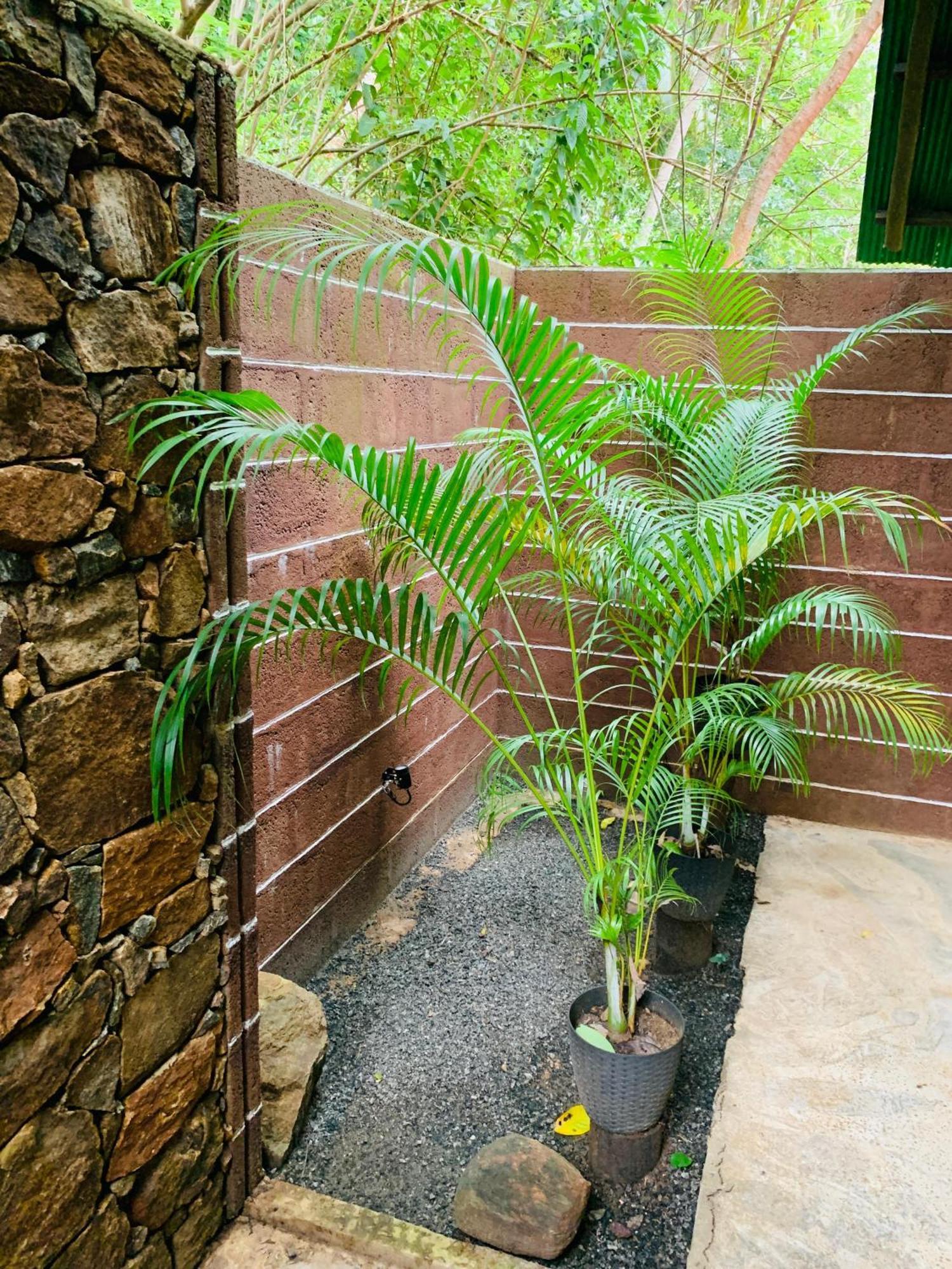 Hotel Coconut Tree House Udawalawe Exterior foto